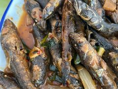 酱焖河鱼-华龙特色大骨鸡农家菜馆