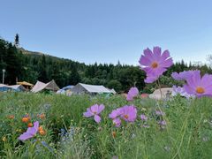 -武陵山森林公园