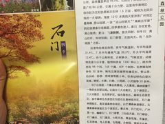 -广州市石门国家森林公园
