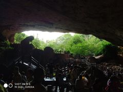 -金塔傣乡·云南民族特色菜·傣味手抓饭(金瓦路店)