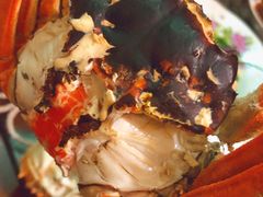 -黄记大闸蟹专卖店·活蟹·醉蟹