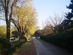 -鹦鹉寺公园