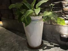 -臻享养生·SPA·影院式足道(汇臻店)