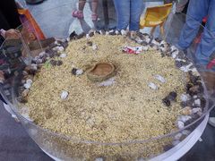 -东浩兰生上海世博展览馆