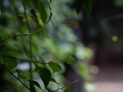 -箱美术馆私房菜(水晶郦城店)