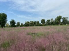 -汉长安城未央宫国家考古遗址公园