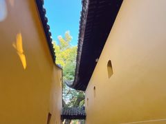 -西园戒幢律寺