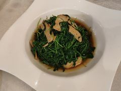 -松鹤楼(狮山永利广场店)