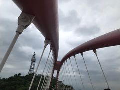 -金鸡山公园