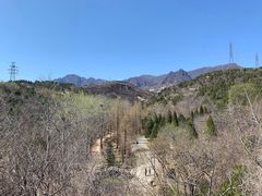 -白水寺森林公园