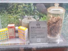 -广州神农草堂中医药博物馆