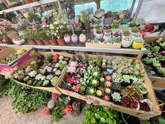 -双季花艺园艺市场(浦东店)