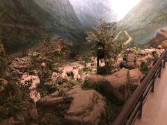 -遵义会议纪念馆