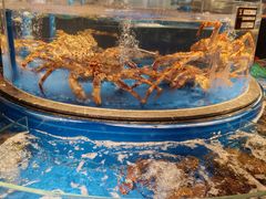 -上和臻品中国菜(花园街店)