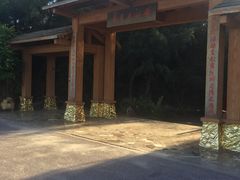 -北海金海湾红树林生态旅游区