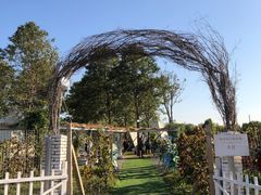 -安德鲁户外烧烤帐篷营地(马泉营店)