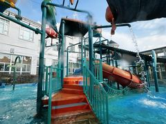 -海合安武汉极地海洋公园