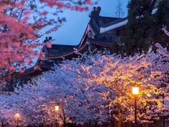 -有栖山 清光院 清水寺
