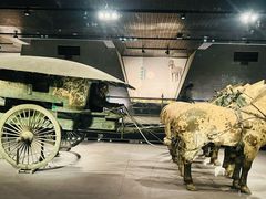 -秦始皇帝陵博物院-丽山园