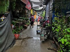 -桂林市花鸟市场