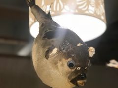 -玄品河豚(那覇國際通里之関)