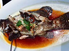 -百富源·海鲜辽菜(张士店)