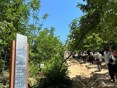 -灵岩山风景区