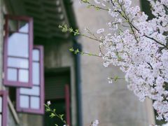 -武汉大学-樱园