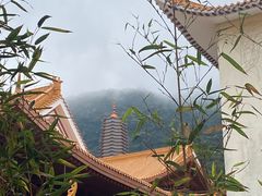 -深圳仙湖植物园