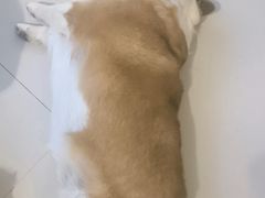 -平行世界·猫咖(首经贸店)