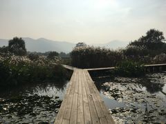 -长兴太湖图影湿地文化园