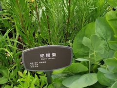 -国家植物园南园