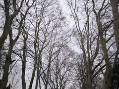 -武汉大学-樱园