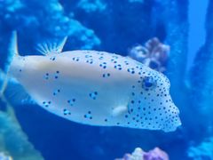 -广州海洋馆