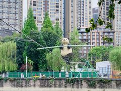 -成都市活水公园