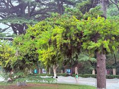 -青岛德国总督楼旧址博物馆