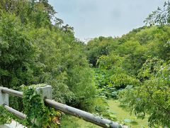 -昆山城市生态森林公园