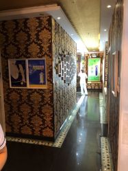 -莎蔓莉莎美容会所