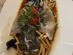 -青梅酒肆PLUS(长白仙岛北路店)