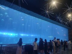 -西安华夏文旅水世界