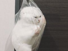 -世纪联华(杭州新塘路店)