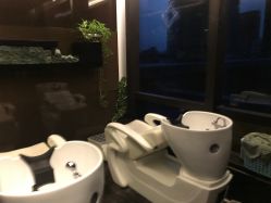 -史云逊养发中心