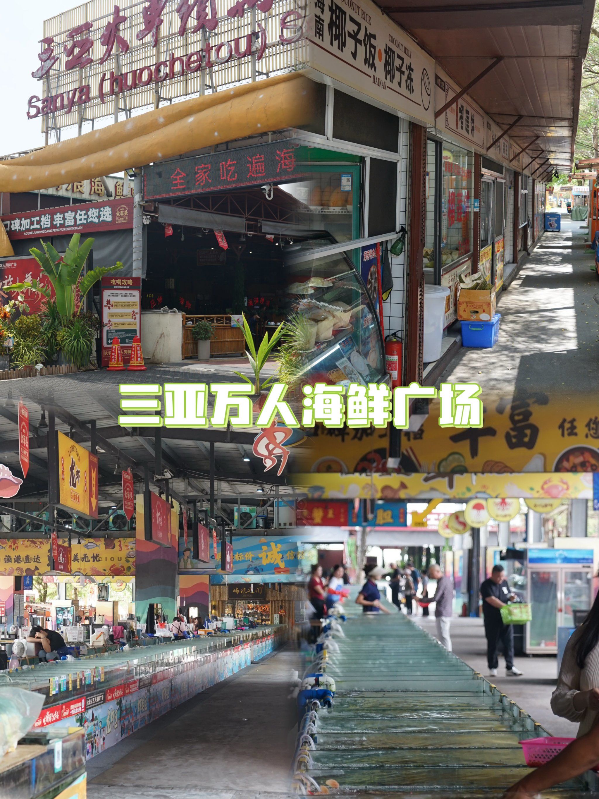 如果你五一来三亚旅游!请记住这家海鲜市场