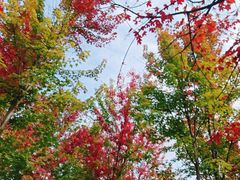 -九鼎铁刹山风景区