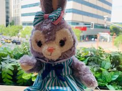 景观位-Peet's Coffee皮爷咖啡(大学路店)