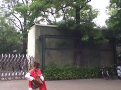 -紫竹院公园冰场