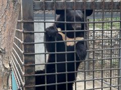 -水上乐园·欢乐世界