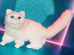 -比利时钻石文化交流中心(岳阳路店)