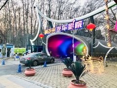 -枫花园汽车电影院(朝阳公园店)