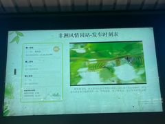 -秦皇岛野生动物园